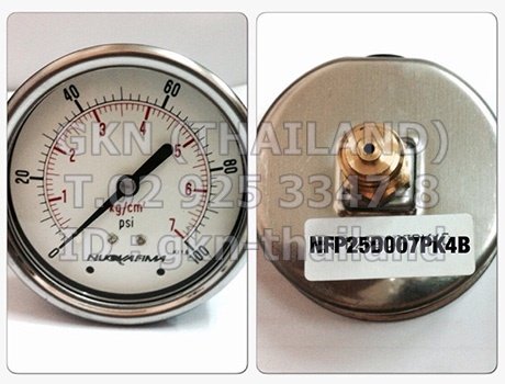 Pressure Gauge Nuova Fima